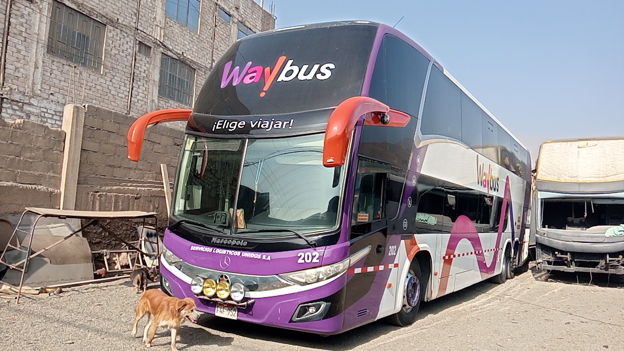 Liquidación de Buses//Mercedes Benz//Volvo y Scania 