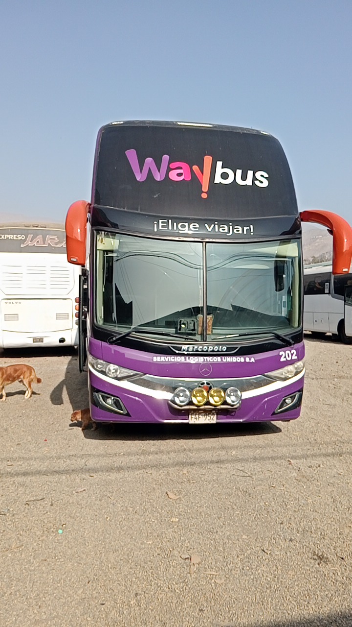 Liquidación de Buses//Mercedes Benz//Volvo y Scania 