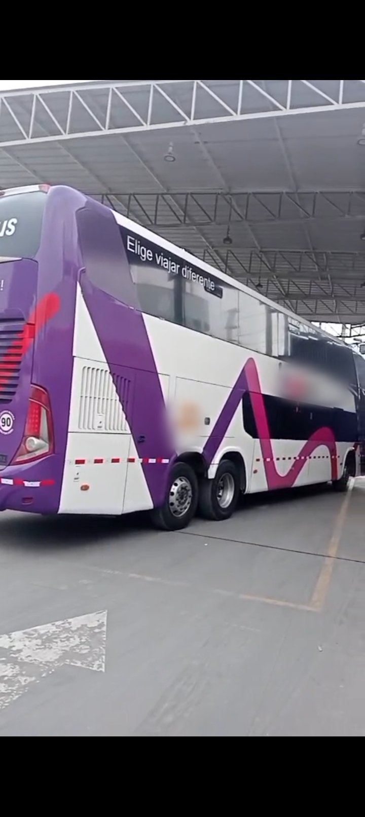 Liquidación de Buses//Mercedes Benz//Volvo y Scania 