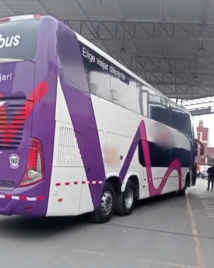 Liquidación de Buses//Mercedes Benz//Volvo y Scania 