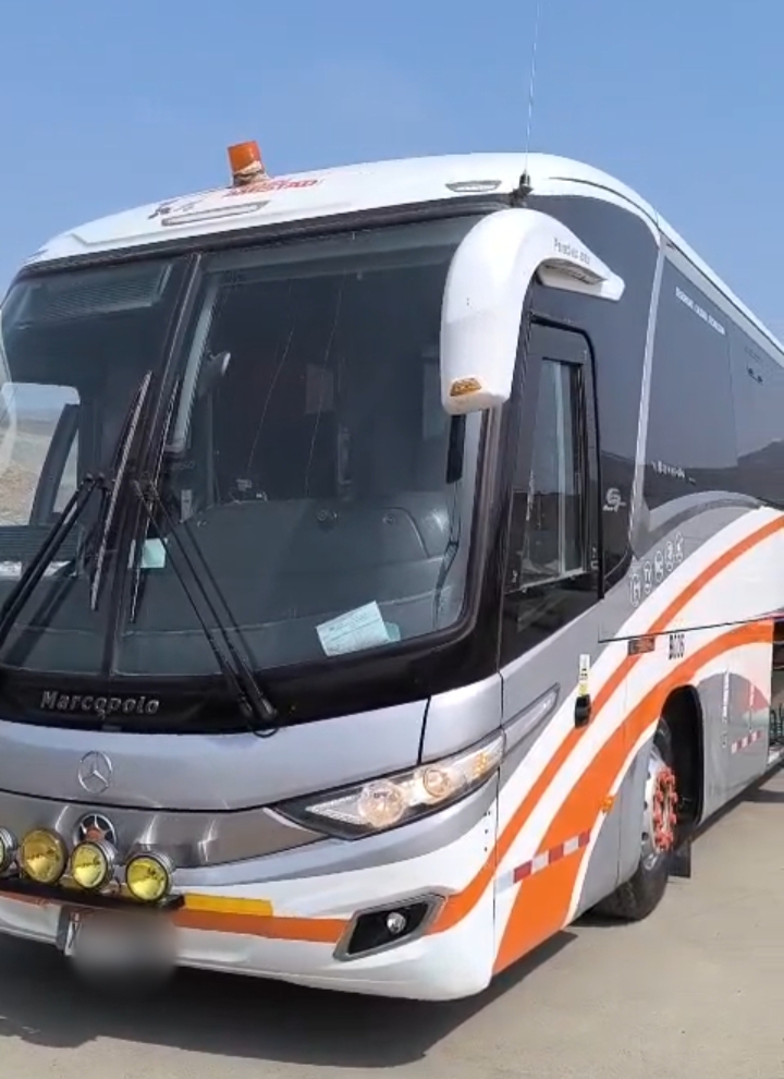 Liquidación de Buses//Mercedes Benz//Volvo y Scania 