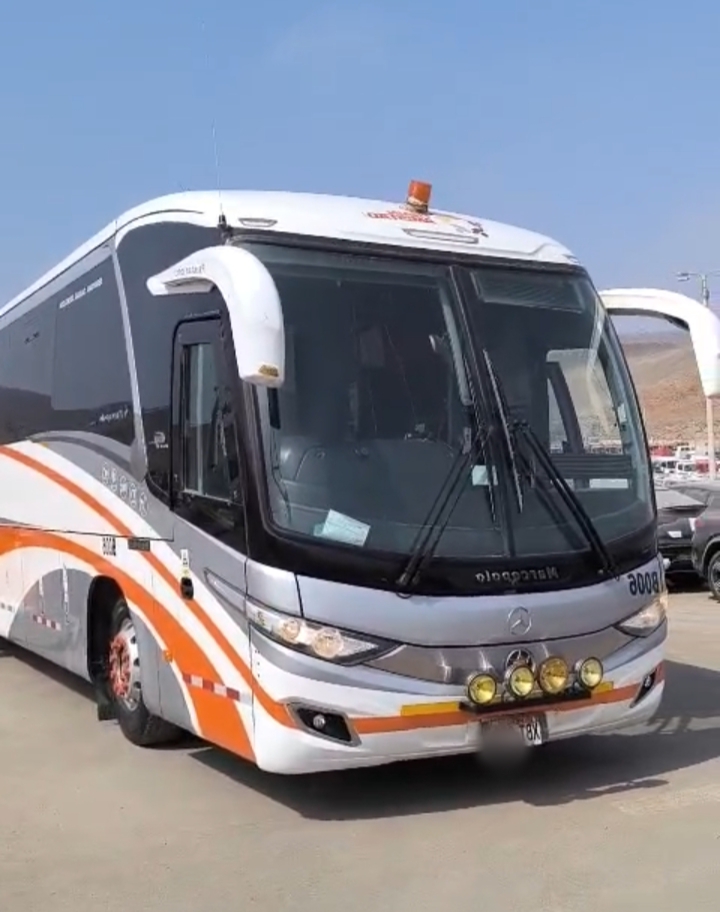 Liquidación de Buses//Mercedes Benz//Volvo y Scania 