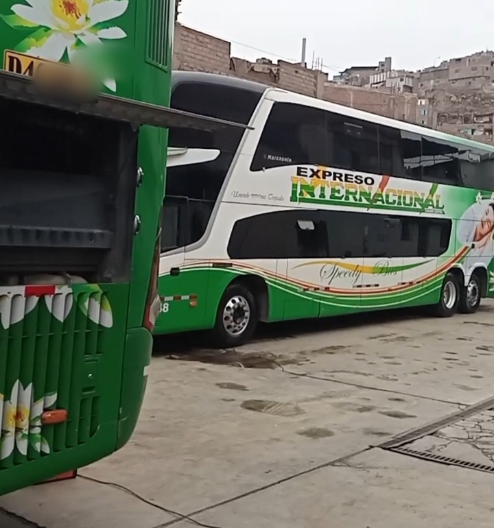 Liquidación de Buses//Mercedes Benz//Volvo y Scania 